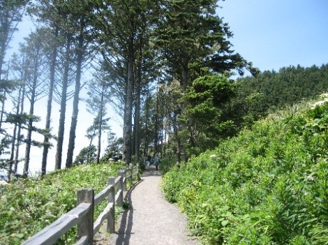 The trail to the lighthouse.