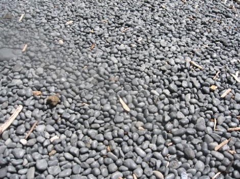 Gray basalt cobblestones on the beach below Yaquina Head.  Beautiful, but a bear to walk on.