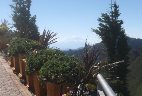 Mt. Adams, and the tubs of flowers on the path to the restaurant.